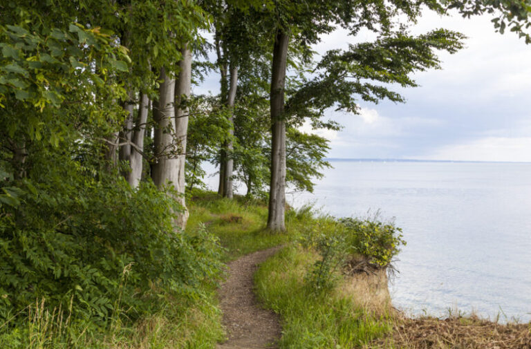 Bild Nr. 5 - Bild Nr. 5 -