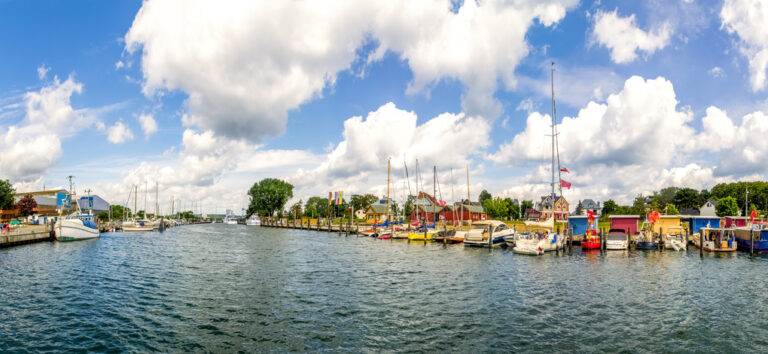 Bild Nr. 4 - Bild Nr. 4 -