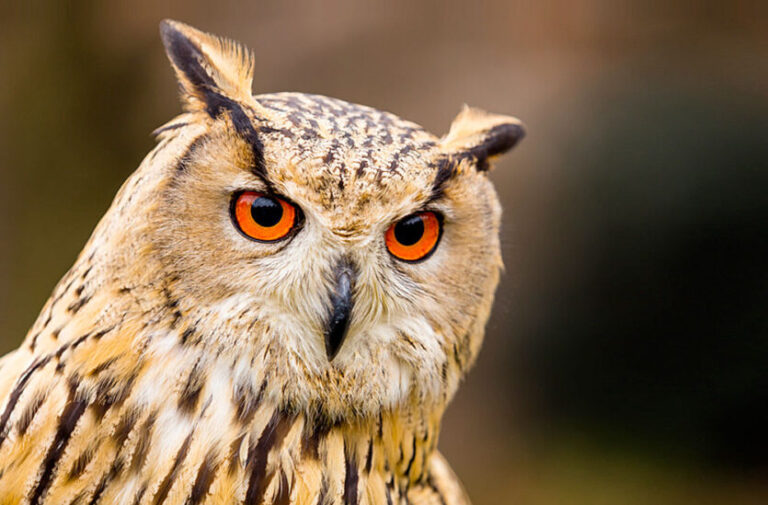 Bild Nr. 6 - Bild Nr. 6 -